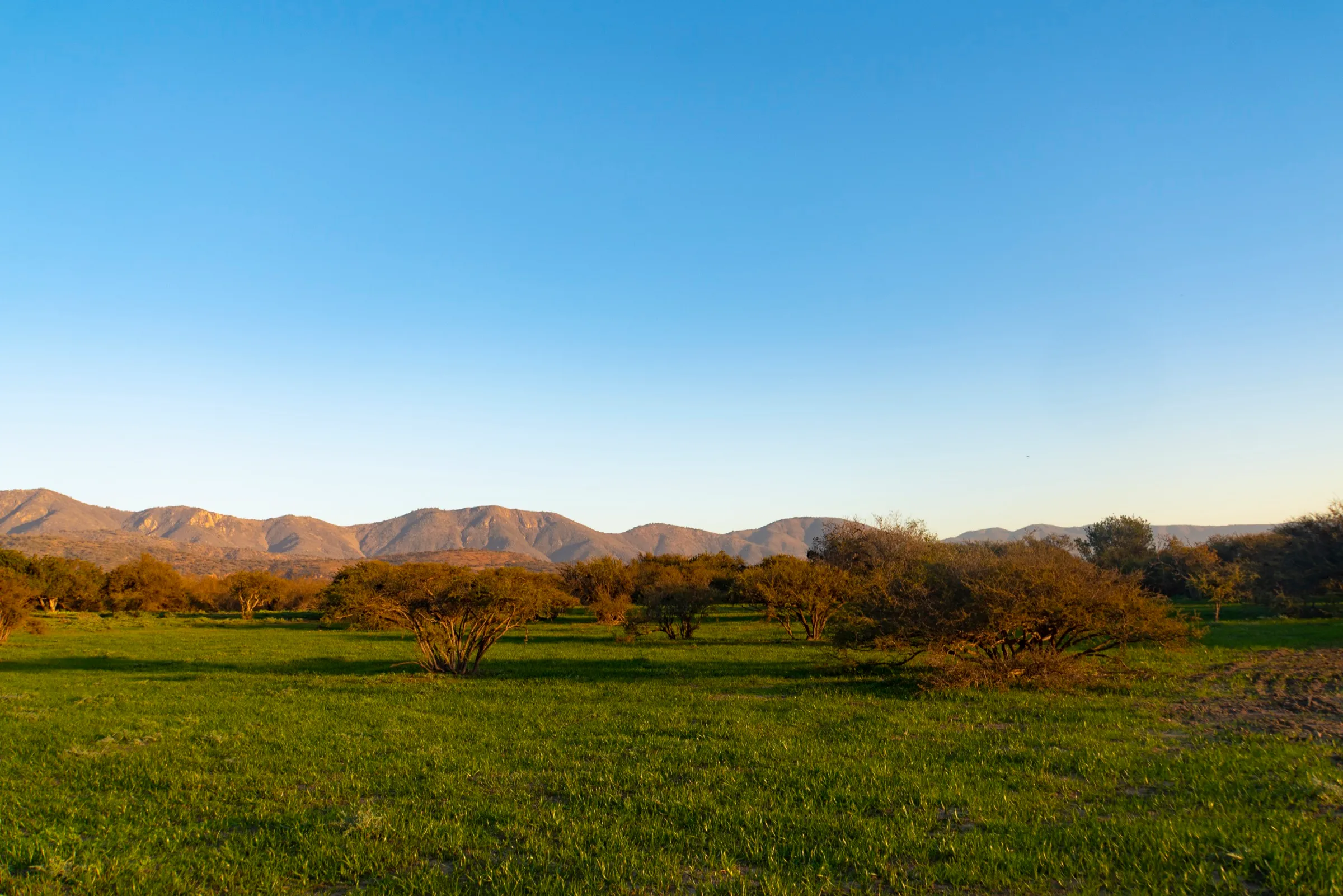 Amanecer sobre el valle de Valle Oculto
