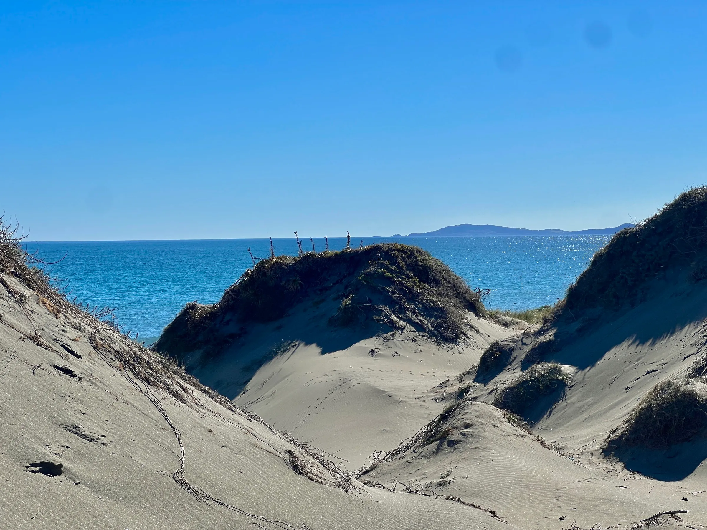 Dunas frente al mar