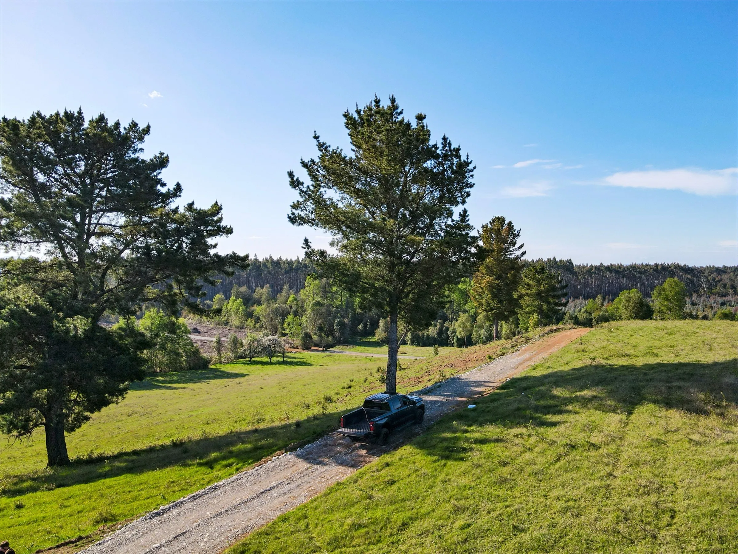 Pradera de Valle Anastasia rodeada de bosque