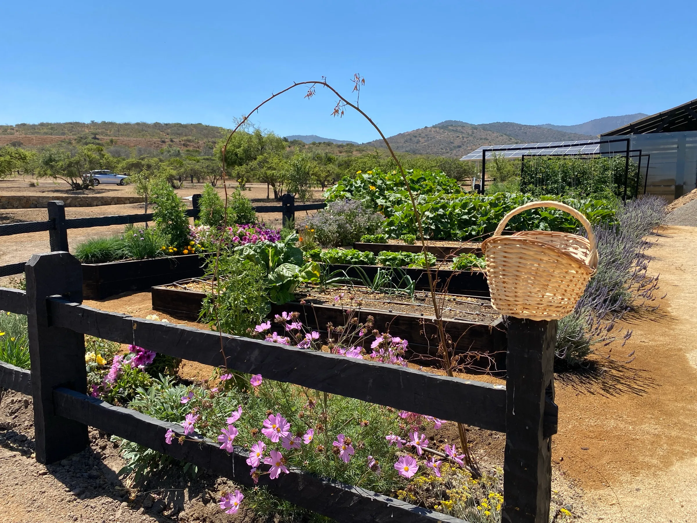 Huerto y jardines del área común